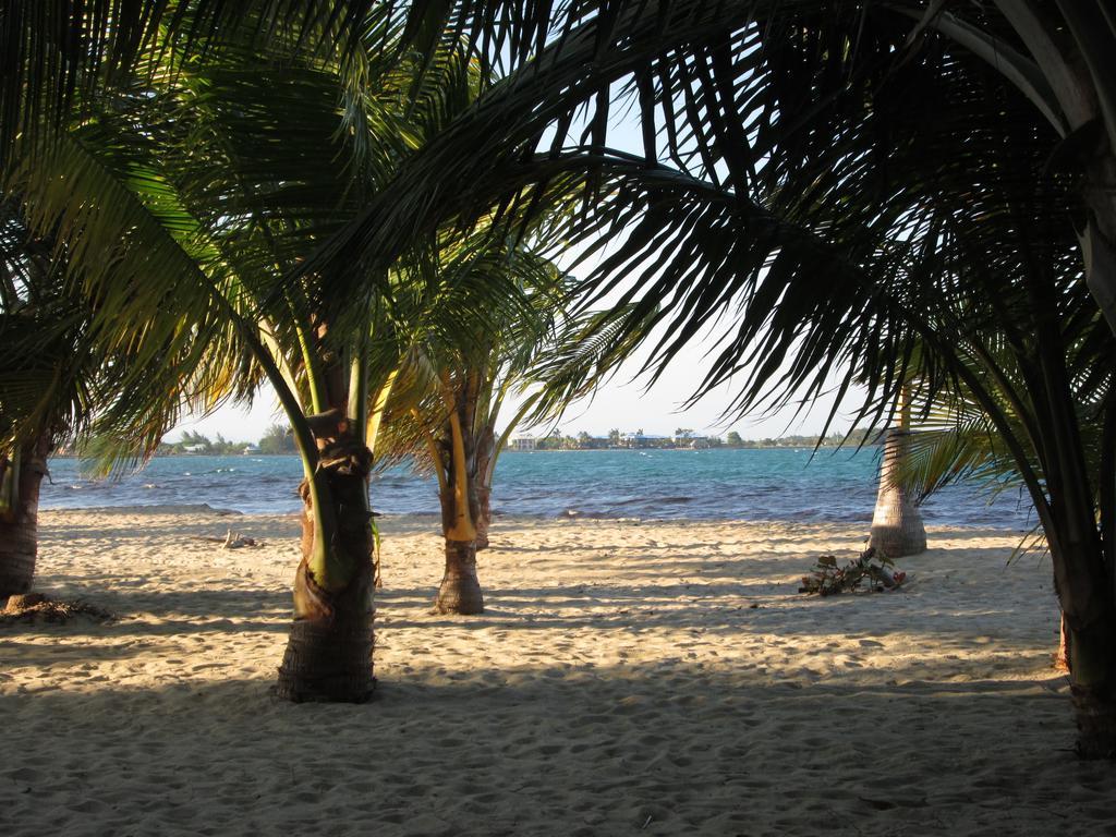 Anda Di Hows Hostel Placencia Екстер'єр фото