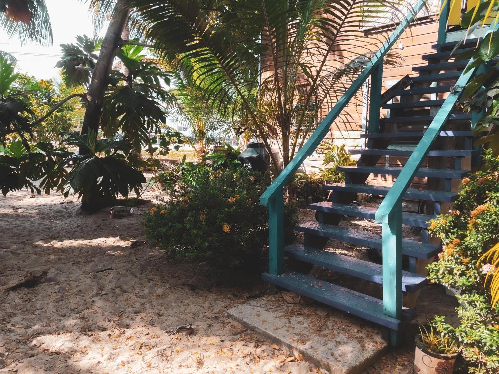Anda Di Hows Hostel Placencia Екстер'єр фото