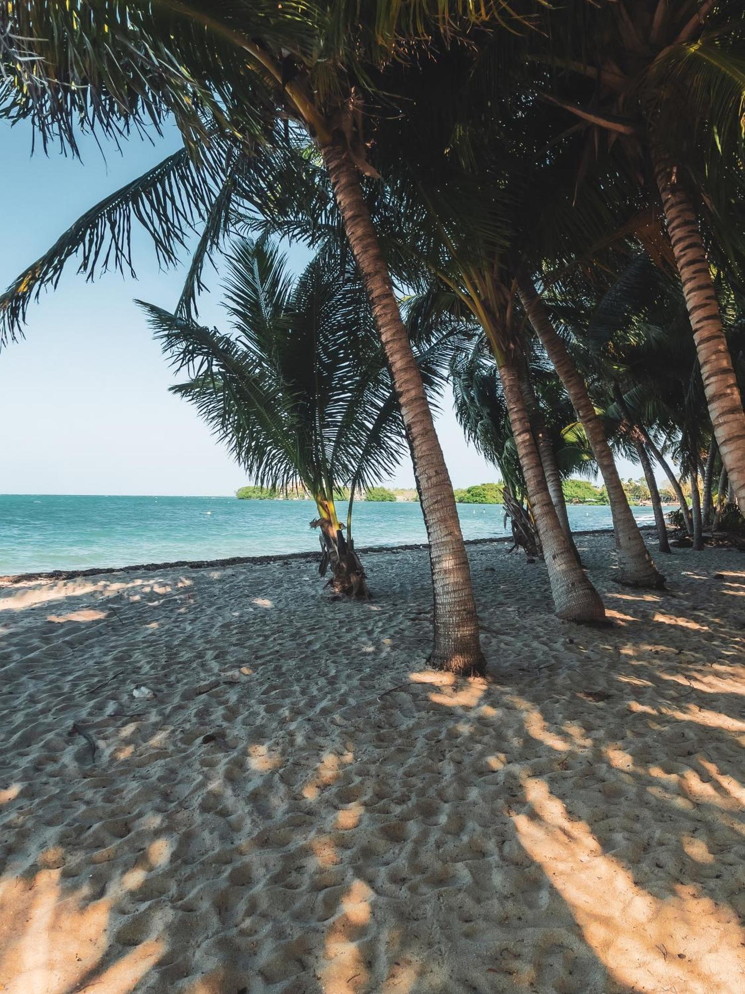 Anda Di Hows Hostel Placencia Екстер'єр фото