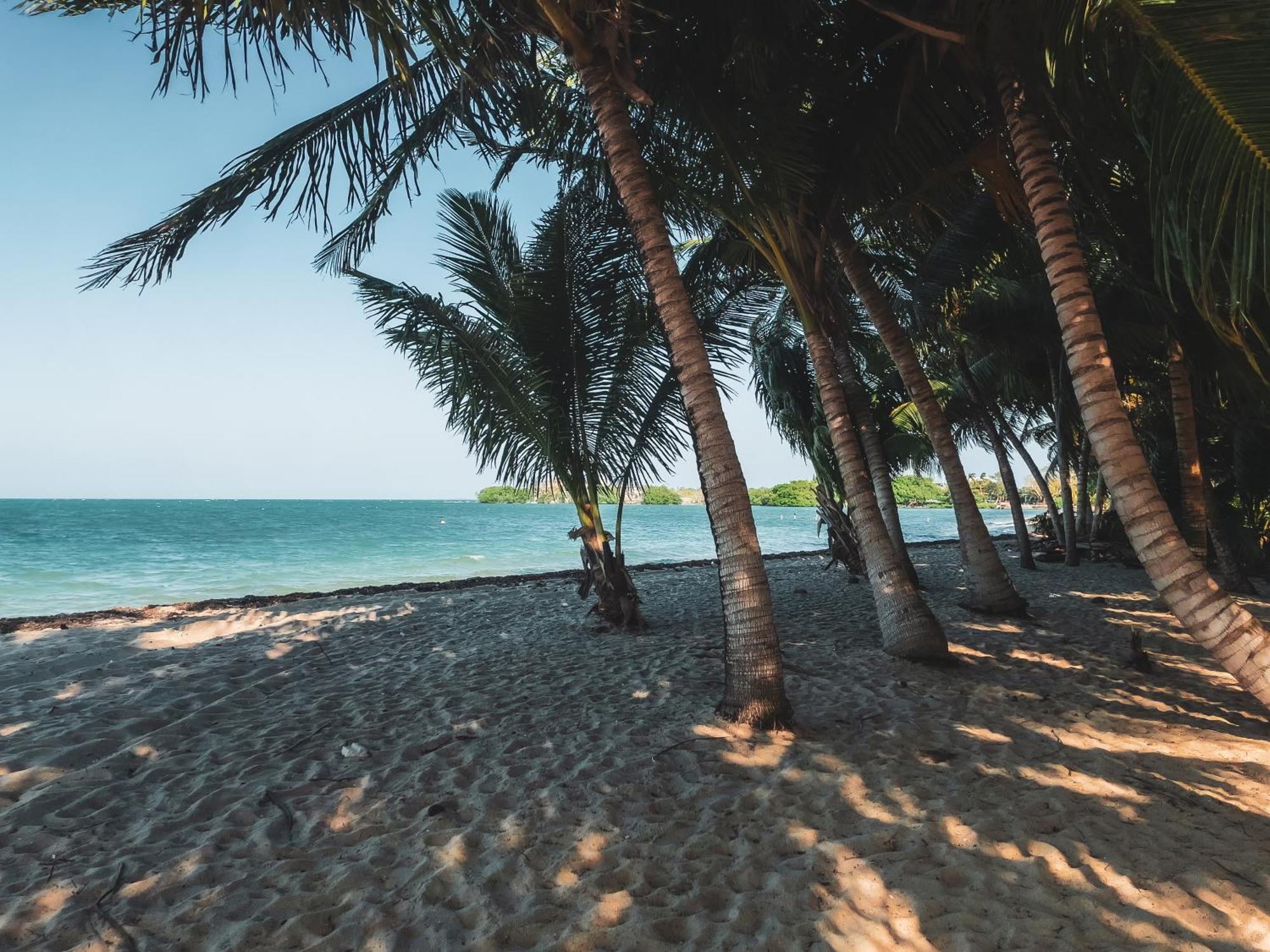Anda Di Hows Hostel Placencia Екстер'єр фото