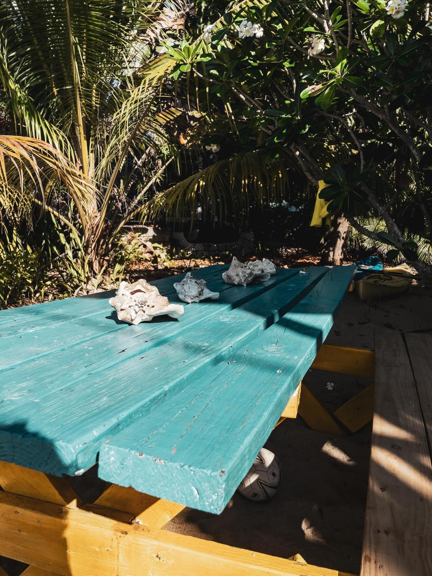 Anda Di Hows Hostel Placencia Екстер'єр фото