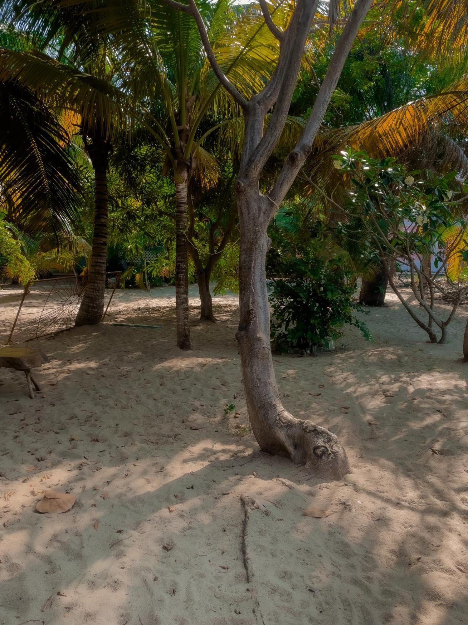 Anda Di Hows Hostel Placencia Екстер'єр фото