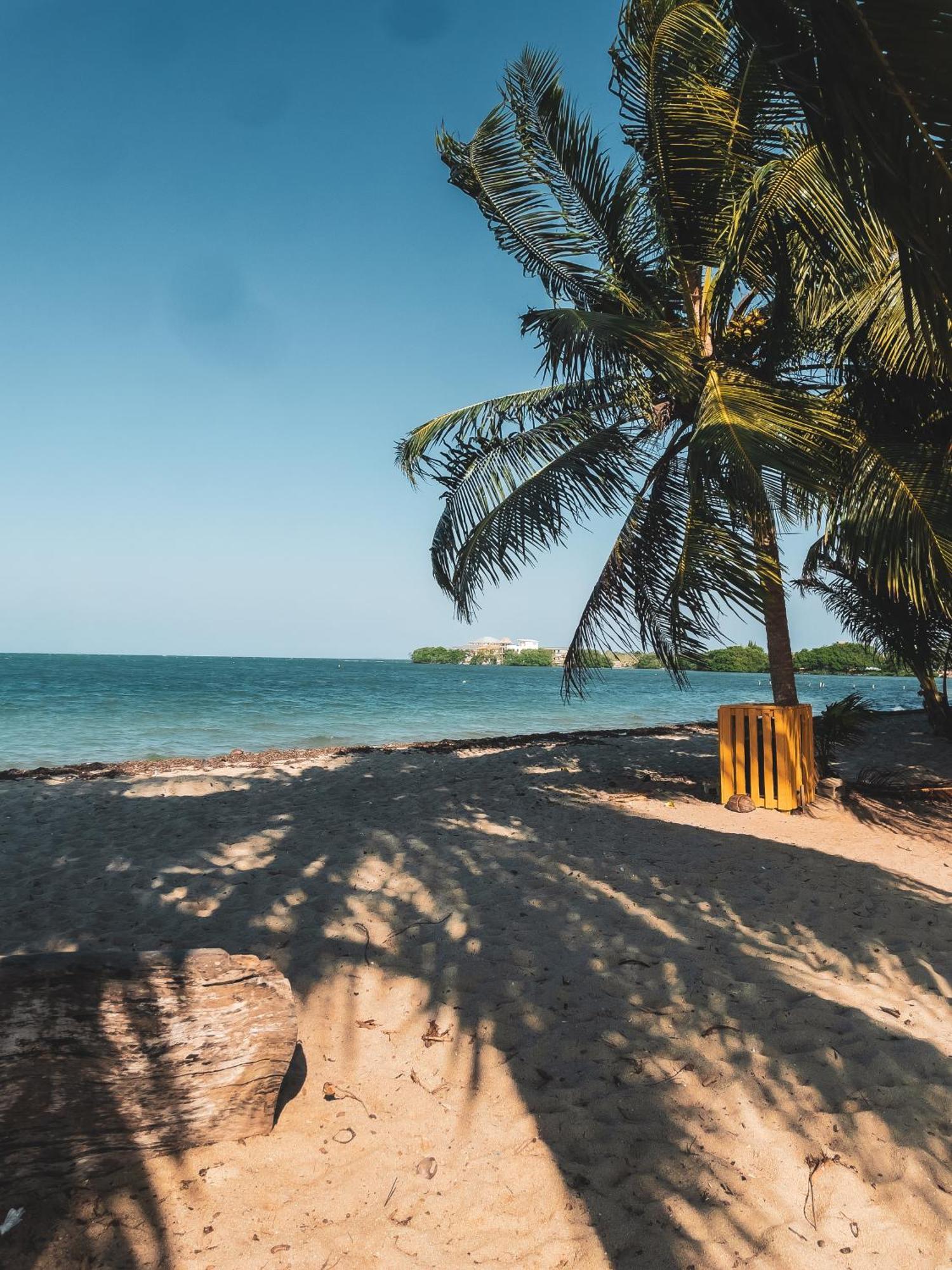 Anda Di Hows Hostel Placencia Екстер'єр фото