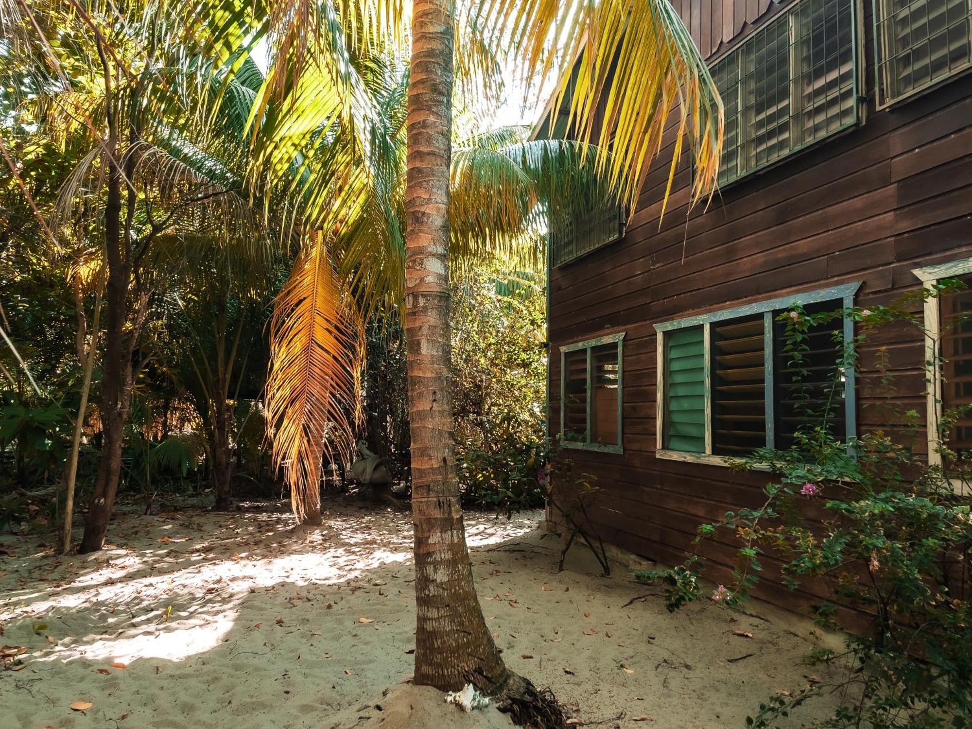 Anda Di Hows Hostel Placencia Екстер'єр фото