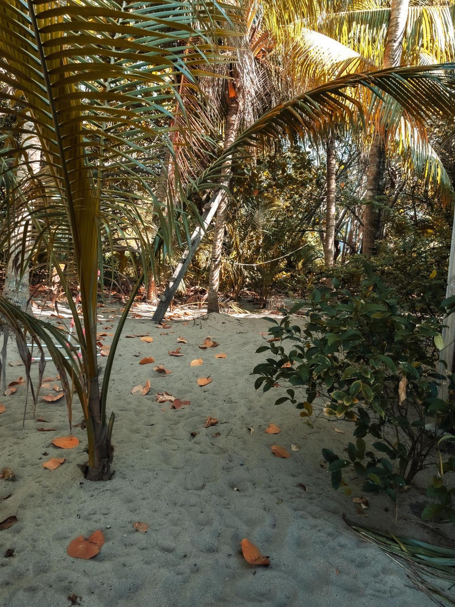 Anda Di Hows Hostel Placencia Екстер'єр фото
