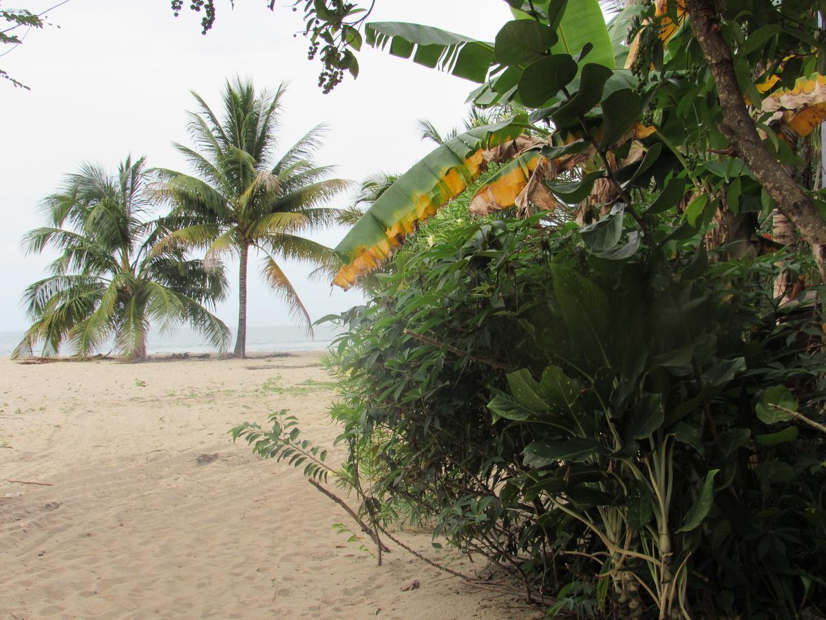 Anda Di Hows Hostel Placencia Екстер'єр фото